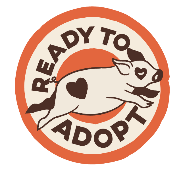 Ready to adopt badge